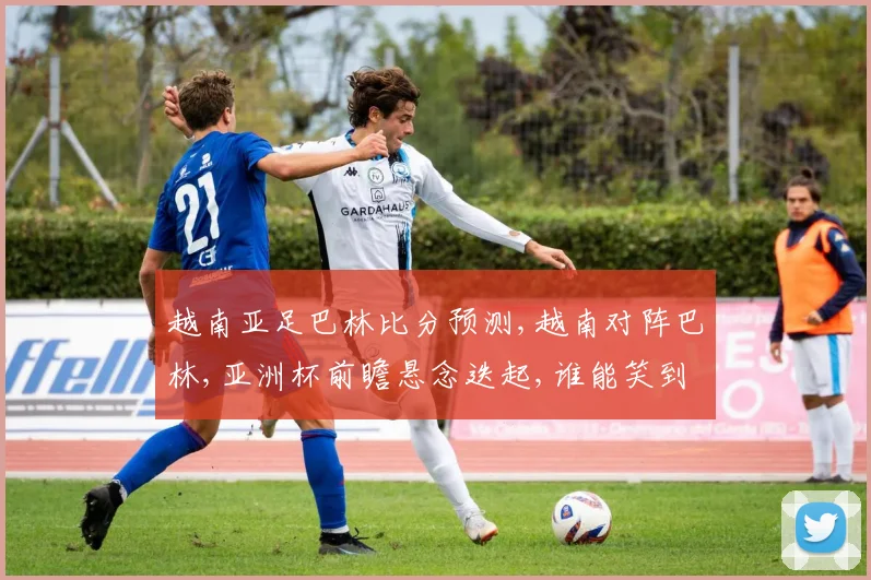 越南亚足巴林比分预测,越南对阵巴林,亚洲杯前瞻悬念迭起,谁能笑到最后