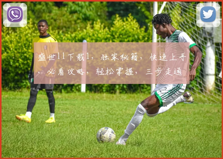 盛世ll下载1，独家秘籍，快速上手，必看攻略，轻松掌握，三步走通